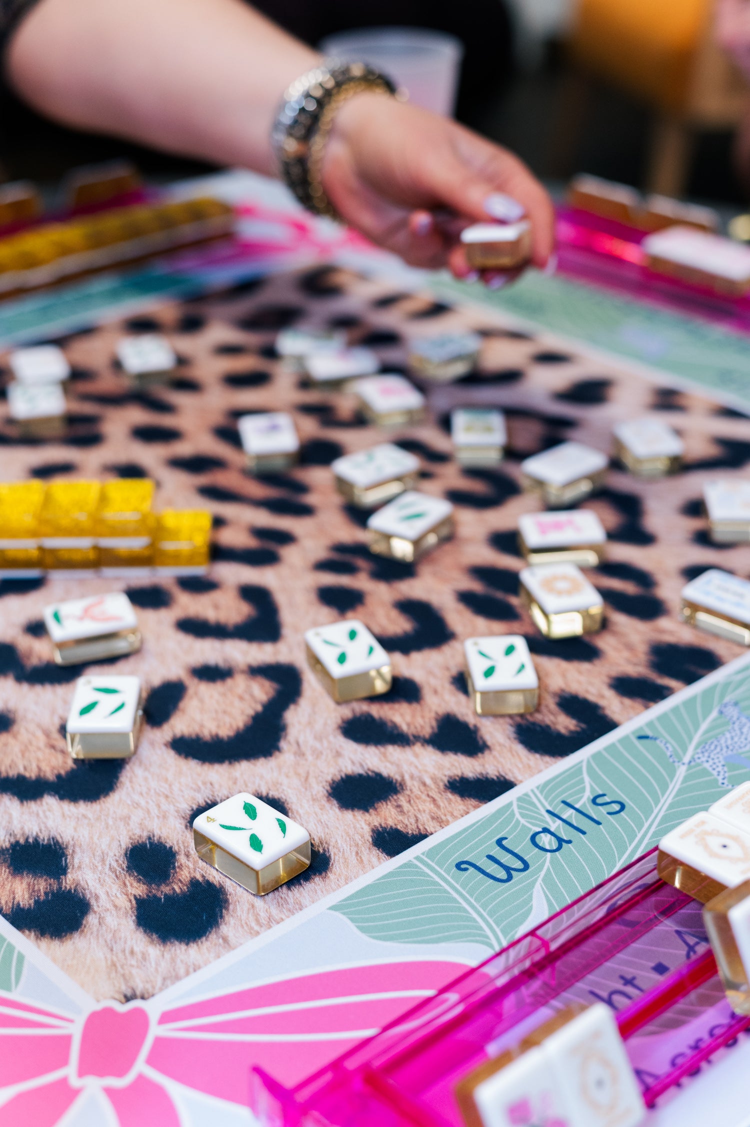 The house set mahjong tiles
